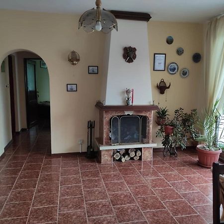 Guesthouse Oasis-Шабла Экстерьер фото