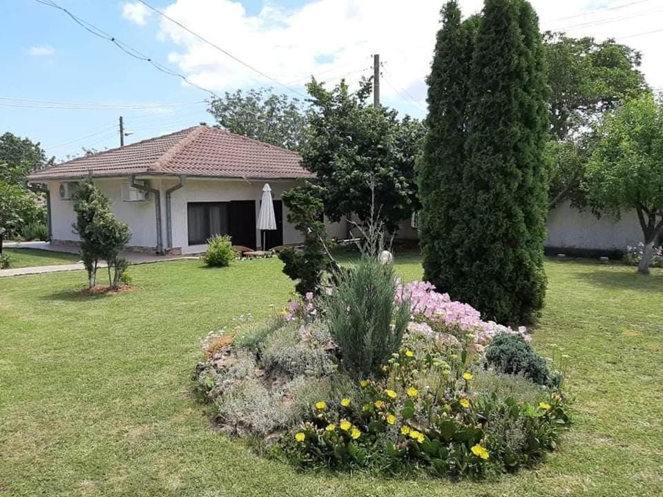 Guesthouse Oasis-Шабла Экстерьер фото