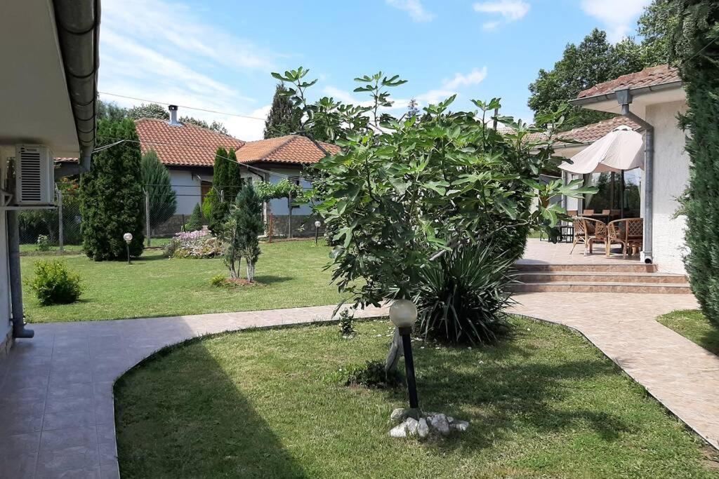Guesthouse Oasis-Шабла Экстерьер фото