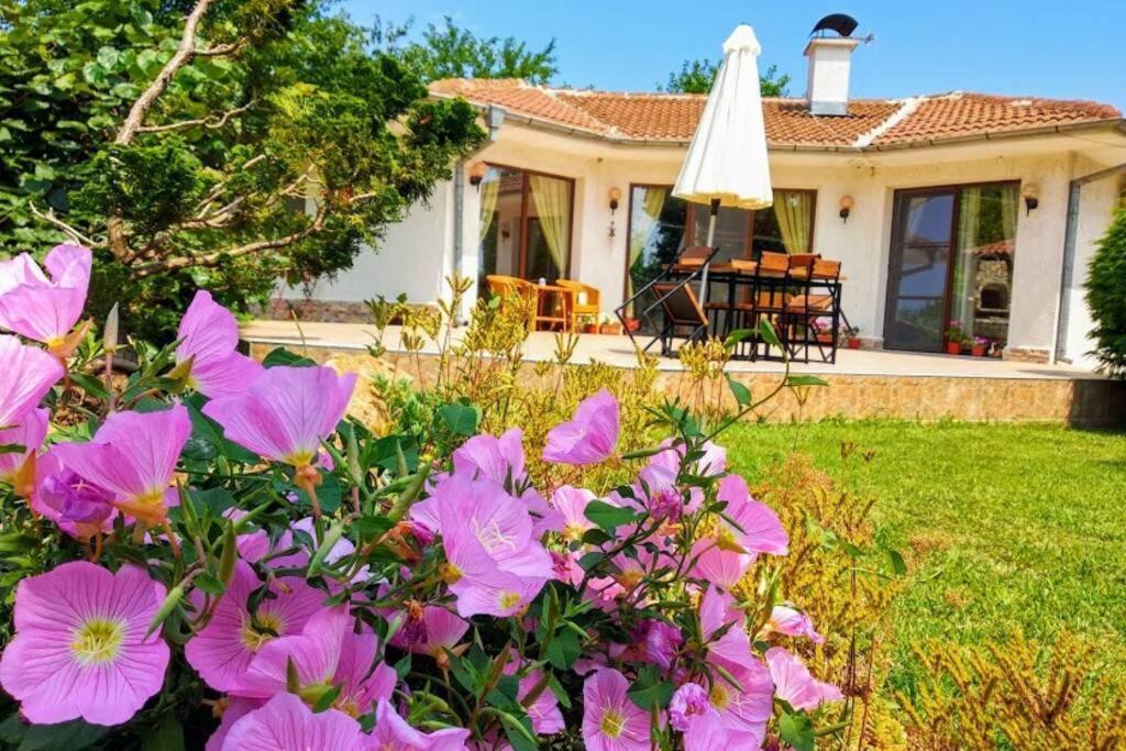 Guesthouse Oasis-Шабла Экстерьер фото