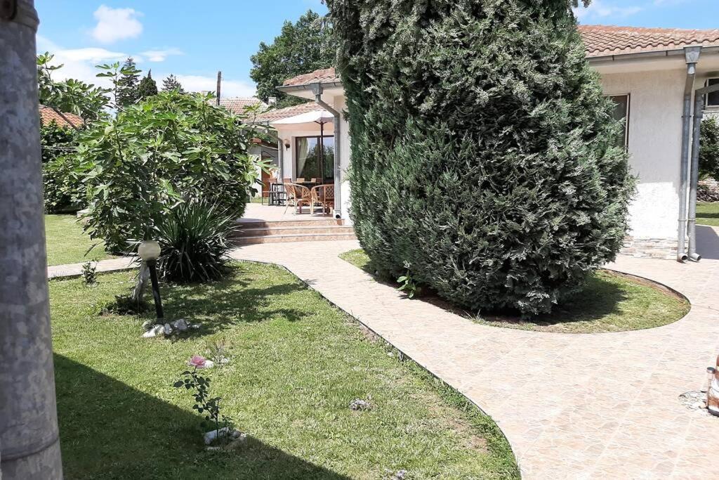 Guesthouse Oasis-Шабла Экстерьер фото