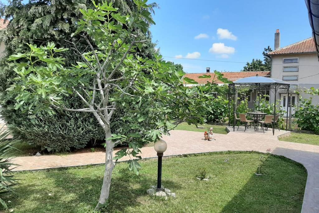 Guesthouse Oasis-Шабла Экстерьер фото