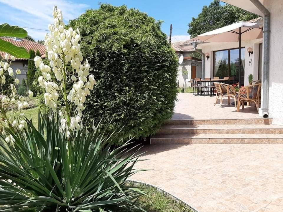 Guesthouse Oasis-Шабла Экстерьер фото
